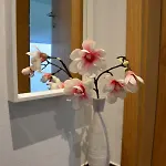 아파트 Wieshof Neukirchen am Großvenediger
