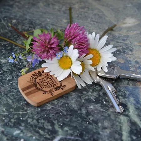 Wieshof Appartamento